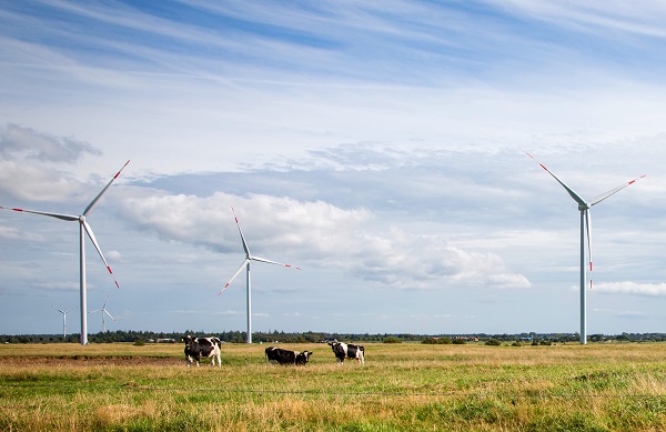Siemens onshore wind turbines for Saxony