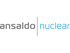 Ansaldo Nuclear