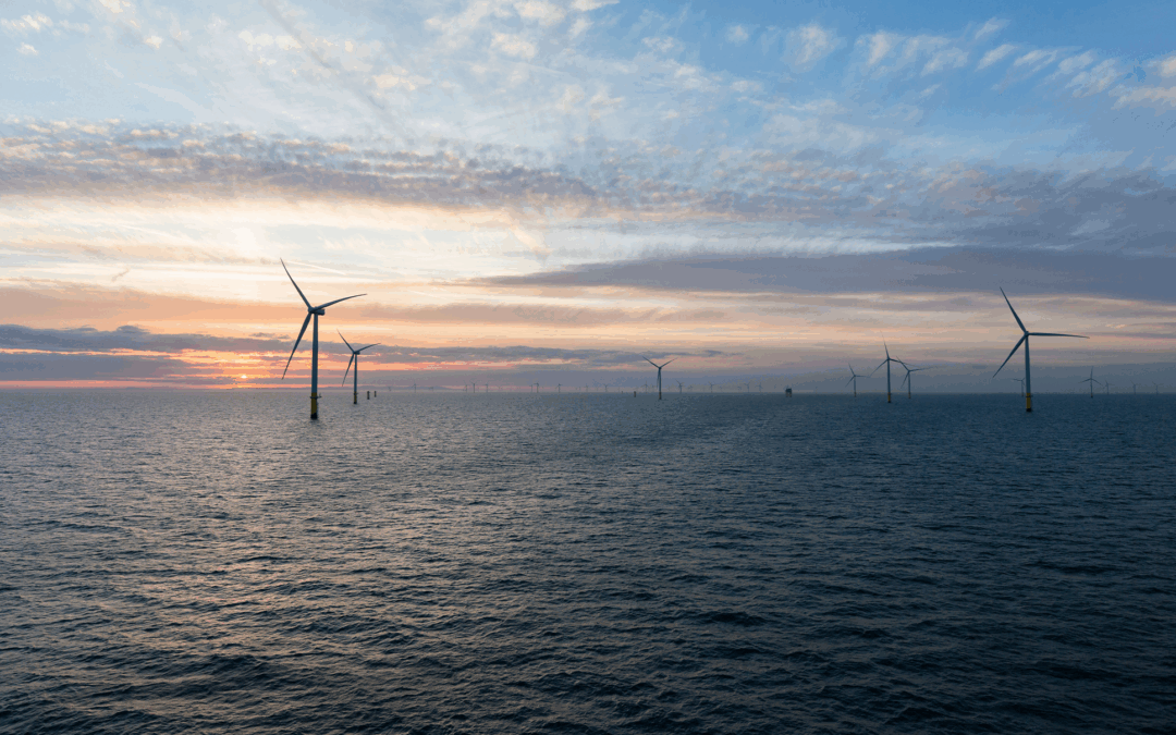 ORSTED: A Global Force in Offshore Wind