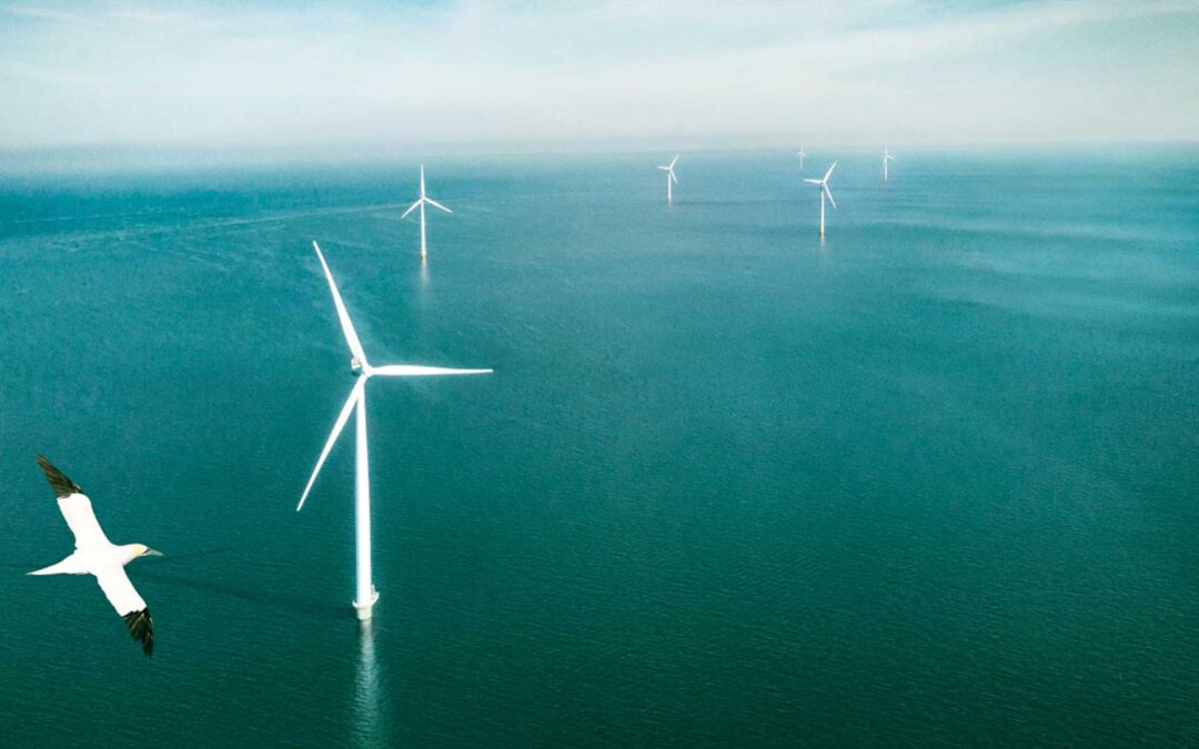 ECOWENDE: Building the Wind Park the North Sea Actually Needs