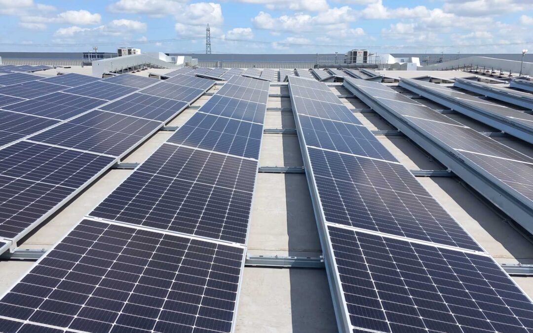 ZESTEC RENEWABLE ENERGY: Unlocking Renewable Opportunities, Capex-Free