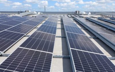 ZESTEC RENEWABLE ENERGY: Unlocking Renewable Opportunities, Capex-Free
